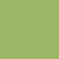 Mixol Lime Green (#16) 200ml