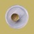 23.75 Karat Shell Gold (small)
