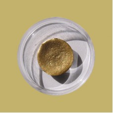 22 Karat Shell Gold (large)