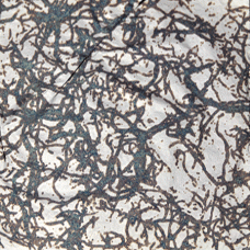 Wakeme Silver leaf (10 pack)