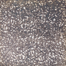 Nori Silver leaf per leaf