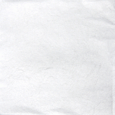 White Silver leaf per leaf