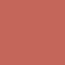 Liquitex Professional Spray Paint - Cadmium Red Light Hue #5 (5510)