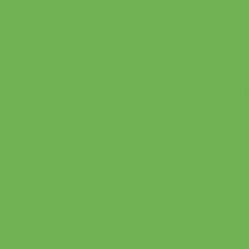 Liquitex Professional Spray Paint - Fluorescent Green (0985)