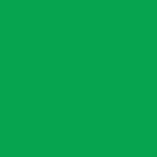 Sennelier Cadmium Green Light Oil Paint Stick #823 - Medium