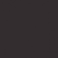 Sennelier Raw Umber Oil Paint Stick #205 - Medium