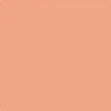 Sennelier Oil Pastel Flesh Ochre #25