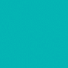 Sennelier Oil Pastel Turquoise Blue #206