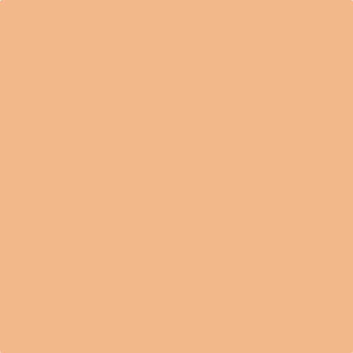 xsennelier oil pastel orange ocher 238 500x500