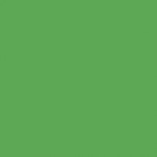 Sennelier Soft Pastel Baryte Green #760 - Standard 