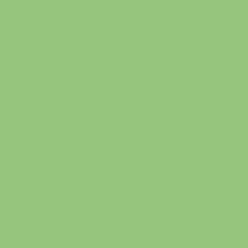 Sennelier Soft Pastel Baryte Green #762 - Standard 