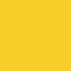 Sennelier Soft Pastel Cadmium Yellow Light #299 - Standard 