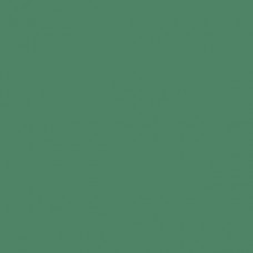 Sennelier Soft Pastel Chromium Green #227 - Standard