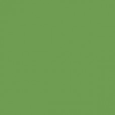 Sennelier Soft Pastel Chromium Green #229 - Standard