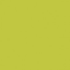 Sennelier Soft Pastel Chromium Green #231 - Standard