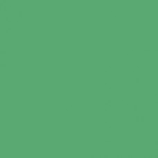 Sennelier Soft Pastel Cinereous Green #347 - Standard 