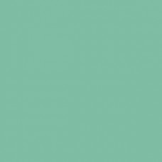 Sennelier Soft Pastel Cinereous Green #349 - Standard 