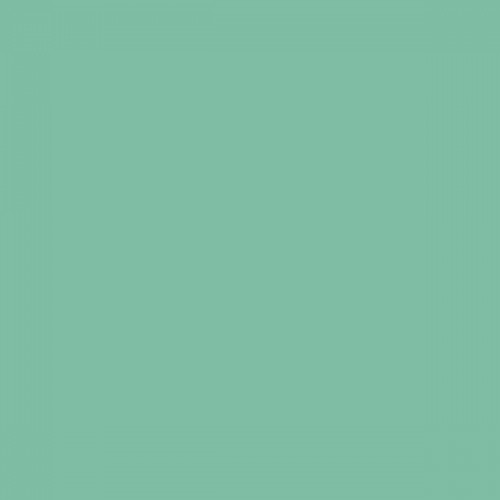 Sennelier Soft Pastel Cinereous Green #349 - Standard