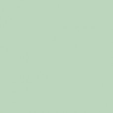 Sennelier Soft Pastel Cinereous Green #351 - Standard 