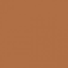 Sennelier Soft Pastel Dead Leaf Green #141 - Standard 