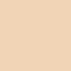 Sennelier Soft Pastel Flesh Ochre #20 - Standard