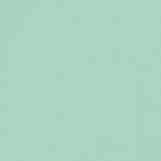Sennelier Soft Pastel Lawn Green #152 - Standard