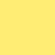 Sennelier Soft Pastel Naples Yellow #101 - Standard 