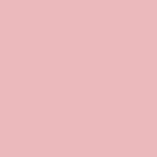 Sennelier Soft Pastel Scarlet Lake #307 - Standard
