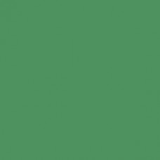 Sennelier Soft Pastel Viridian #250 - Standard