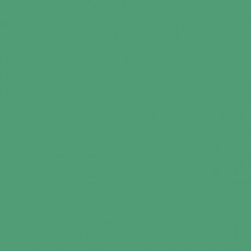 Sennelier Soft Pastel Viridian #252 - Standard
