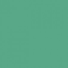Sennelier Soft Pastel Viridian #254 - Standard