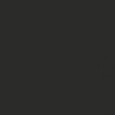 Sennelier Soft Pastel Yellow Grey Green #491 - Standard