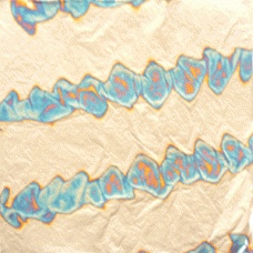 Blue Waves loose per booklet