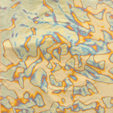 Irregular Choice (Gold) Transfer per booklet