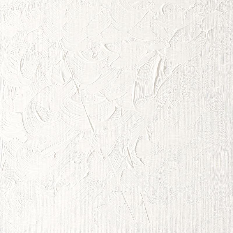 Zinc White (748) 37ML