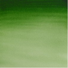 Hooker's Green Light 8ml (314)