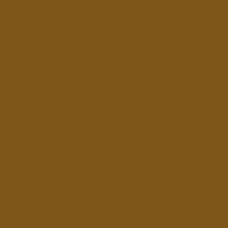 Winsor & Newton Professional Watercolour - Raw Umber 5ml (554)