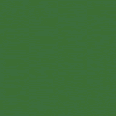 Winsor & Newton Professional Watercolour - Terre Verte (Yellow Shade) 5ml (638)