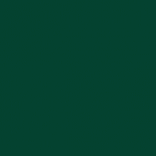 MOLOTOW ONE4ALL 127HS 2mm / Future Green (145)