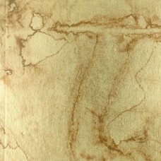 Sepia Iris Silver leaf per leaf