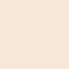 Winsor & Newton Brushmarker - Almond (O819)