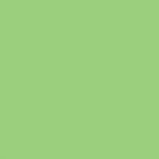 Winsor & Newton Brushmarker - Apple (G338)