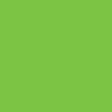 Winsor & Newton Brushmarker - Bright Green (G267)