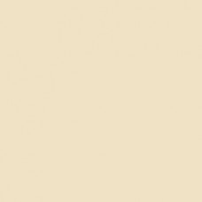 Winsor & Newton Brushmarker - Champagne (Y217)