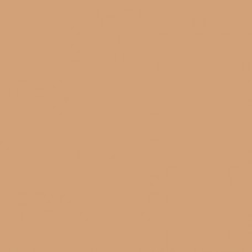 Winsor & Newton Brushmarker - Cinnamon (O427)