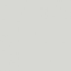 Winsor & Newton Brushmarker - Cool Grey 2 (Cg2) 