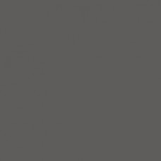 Winsor & Newton Brushmarker - Cool Grey 5 (Cg5) 