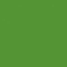 Winsor & Newton Brushmarker - Forest Green (G356)