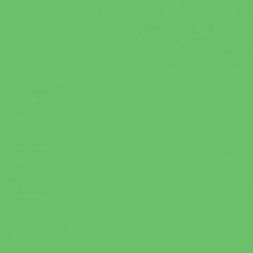 Winsor & Newton Brushmarker - Grass (G457)