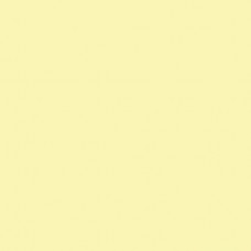 Winsor & Newton Brushmarker - Soft Lime (Y828)